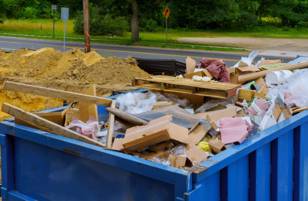 Best Carpet Removal and Disposal  in La Grulla, TX